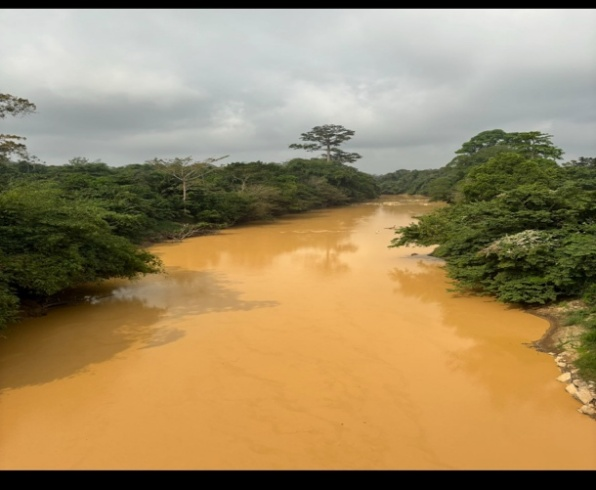 Amplifying Online Activism: Multimedia Elements in the #StopillegalMining Campaign in Ghana