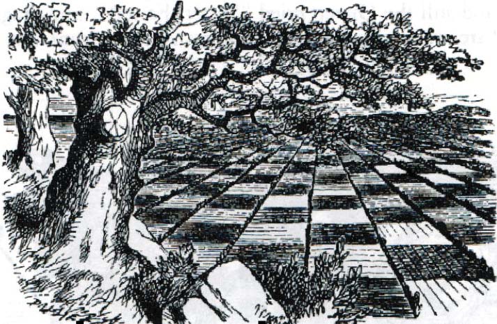 Visual Culture and the 'Alice' Books