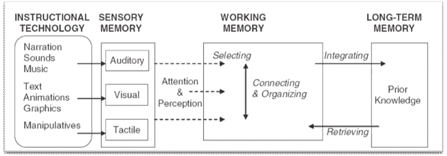 Figure 1 - Cognitive Theory of Learning with Multimedia (Moreno, 2006)
