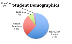 Figure 1 Student Demographics